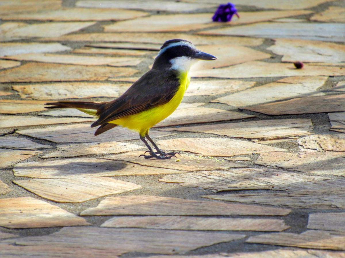 Pousada Mandalla Serra do Cipo National Park Exteriör bild